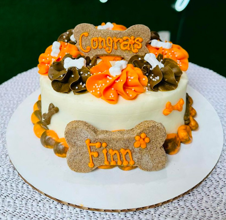 Congrats Finn Dog Cake Design Congrats Finn Dog Cake Design
