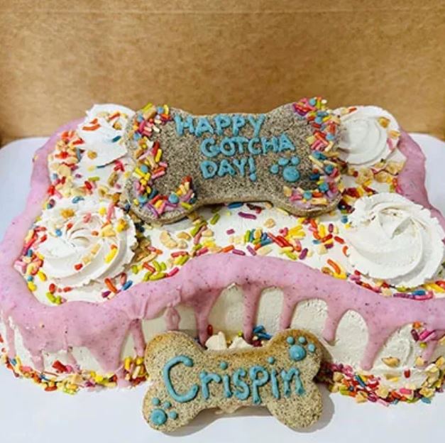 Birthday Dog Cake for Crispin Birthday Dog Cake for Crispin