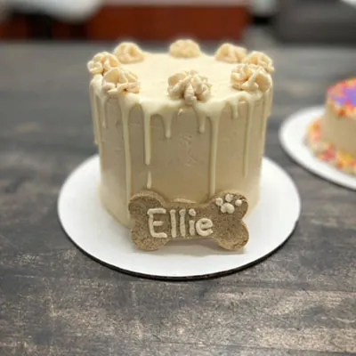 Dog Birthday Cake for Ellie Dog Birthday Cake for Ellie